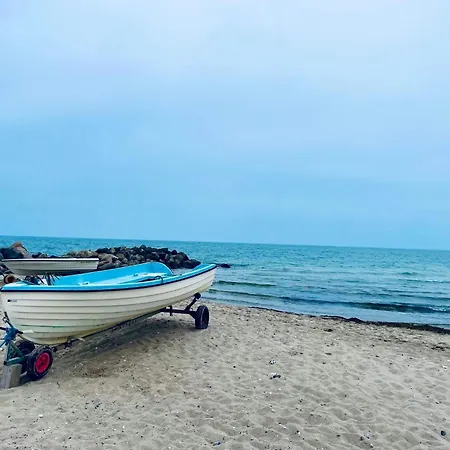 24 Person In 펜션 *