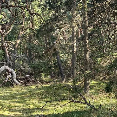 24 Person In 펜션 *