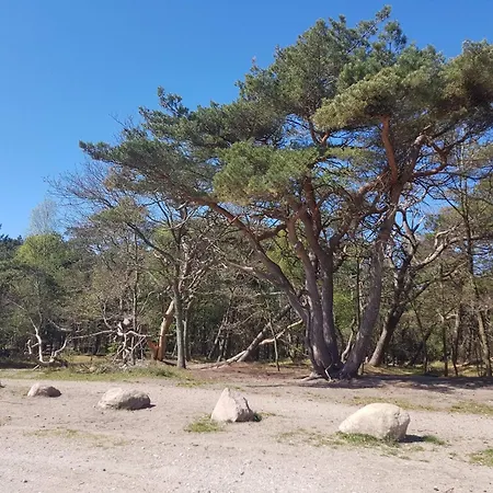 24 Person In Frederiksværk